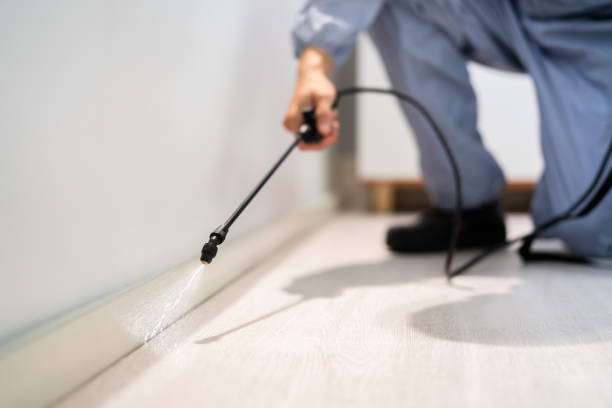 Licensed Pest Control service in Romoland, CA - Show Me Pest Control