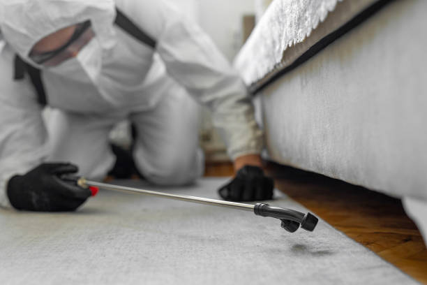 Professional Ant Control technician working in Romoland, CA